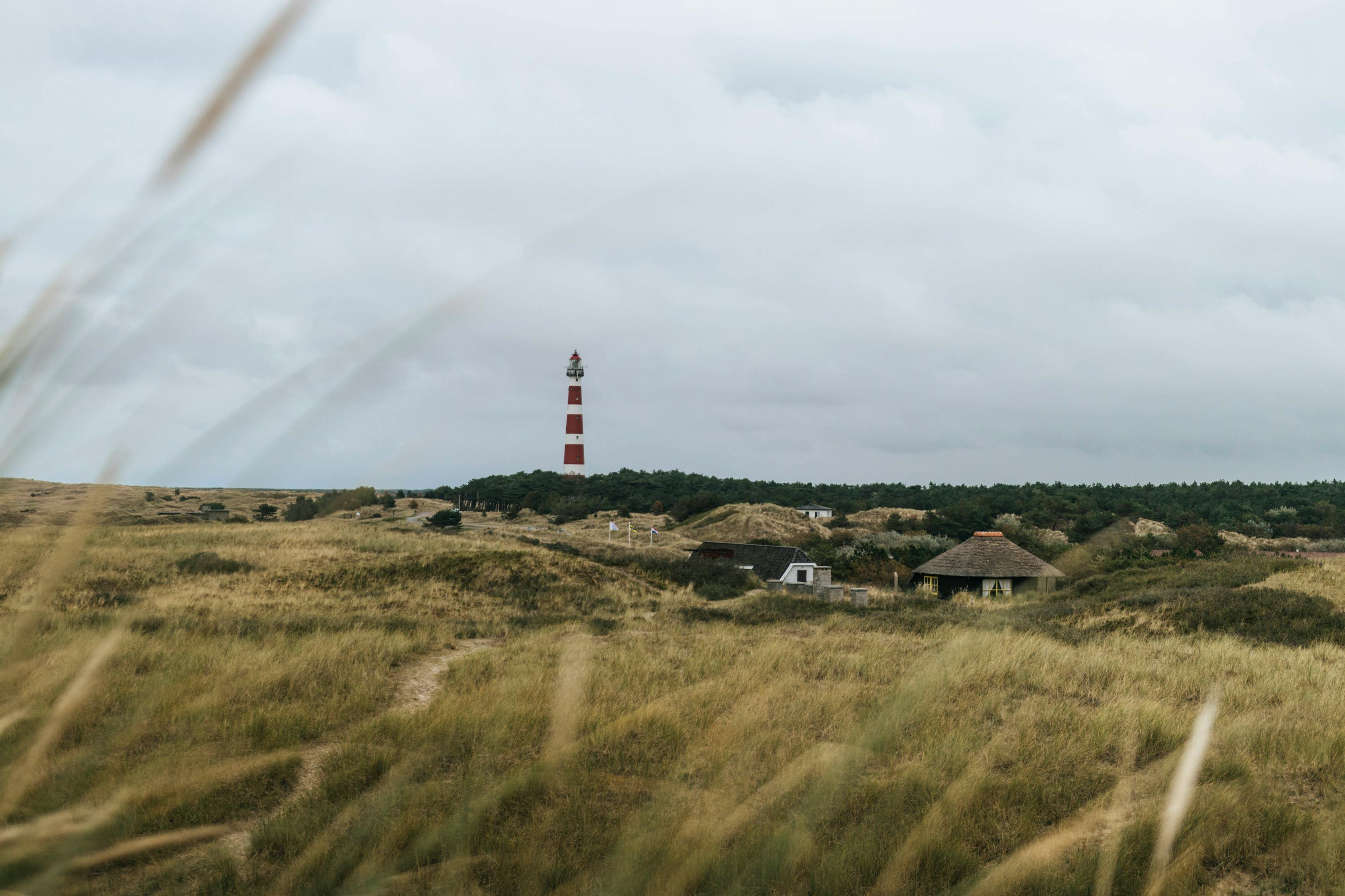林芝婚姻家庭律师，你想知道的都在这里！